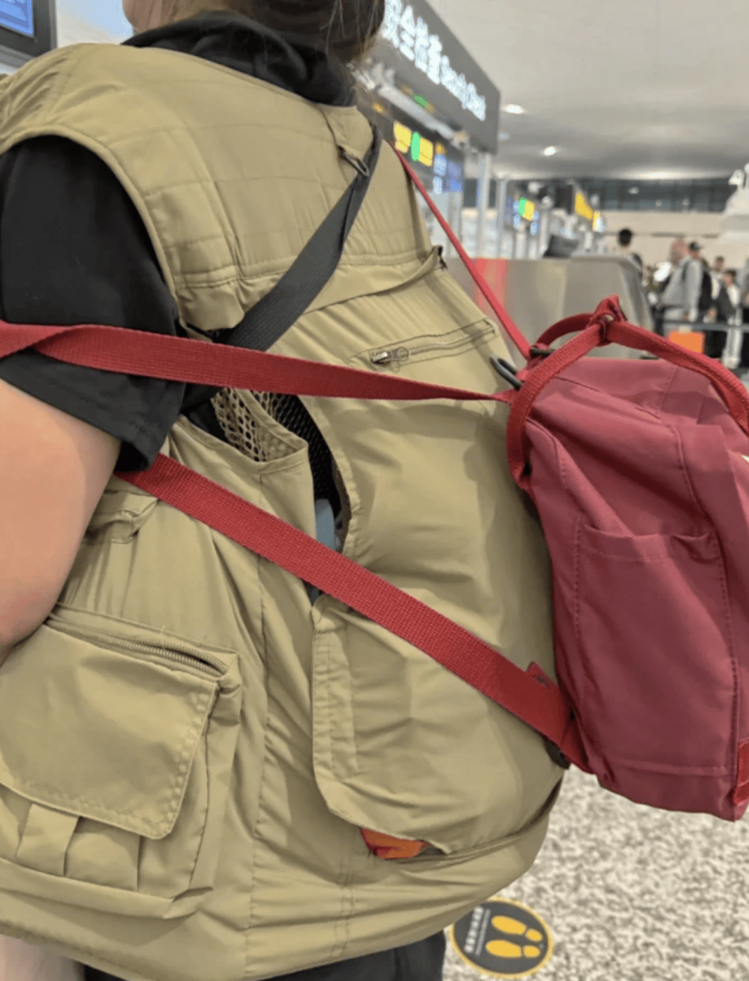 “坐飞机发现旁边放着冷链海鲜”<strong></p>
<p>国际原油行情实时行情</strong>，航空公司兼职送货给出差人整破防了