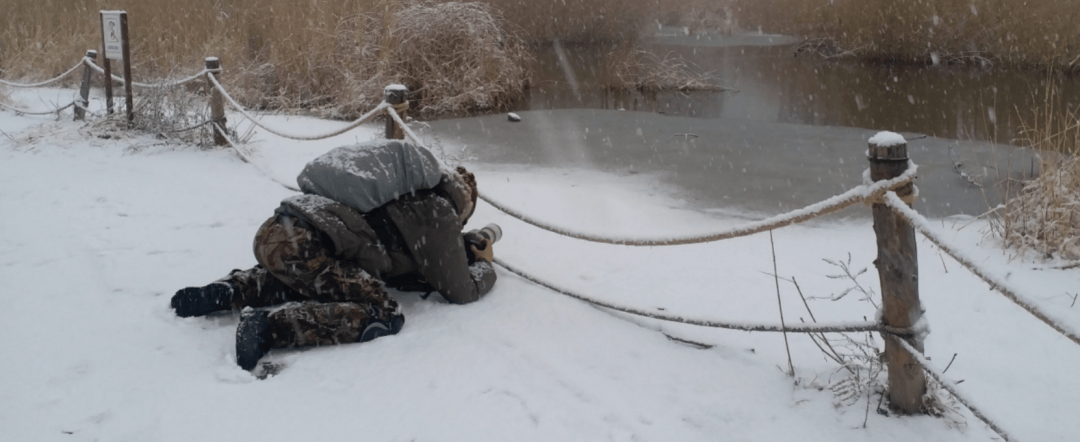 张瑜：我们所居住的北京<strong></p>
<p>国际原油价格今日</strong>，是亲近自然的最佳场所
