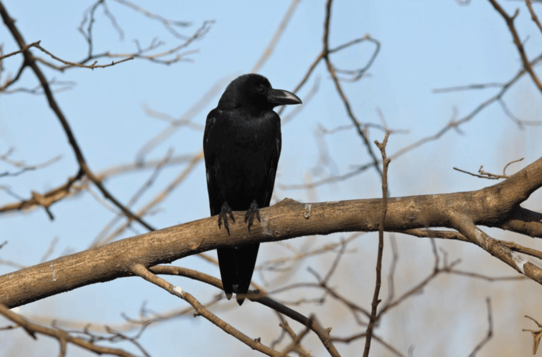 张瑜：我们所居住的北京<strong></p>
<p>国际原油价格今日</strong>，是亲近自然的最佳场所