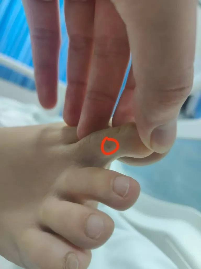 女子疑被蛇咬身亡事件进展：家属正在酒店收拾逝者遗物<strong></p>
<p>原油招聘</strong>，称暂无处置结果