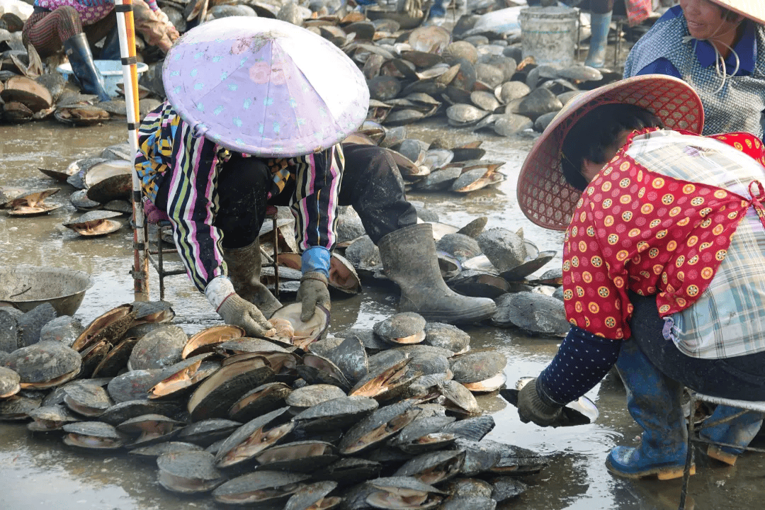 全球农业文化遗产上新<strong></p>
<p>原油招聘</strong>，为何是它们？