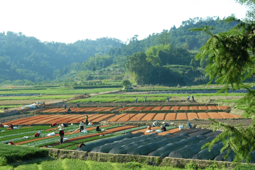 全球农业文化遗产上新<strong></p>
<p>原油招聘</strong>，为何是它们？