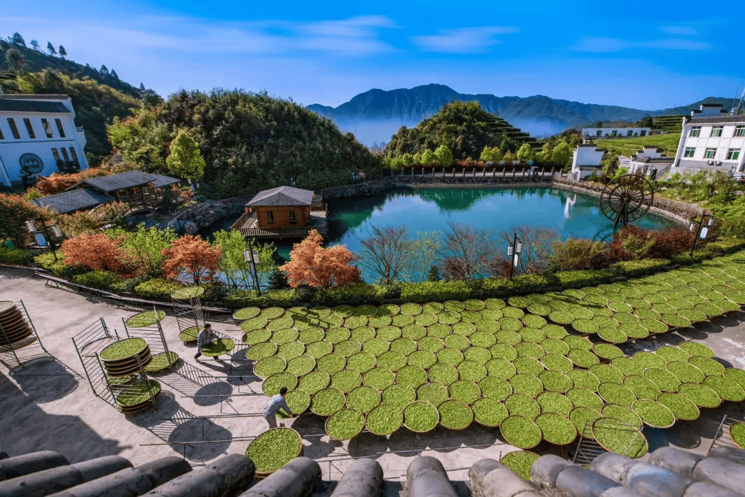 全球农业文化遗产上新<strong></p>
<p>原油招聘</strong>，为何是它们？