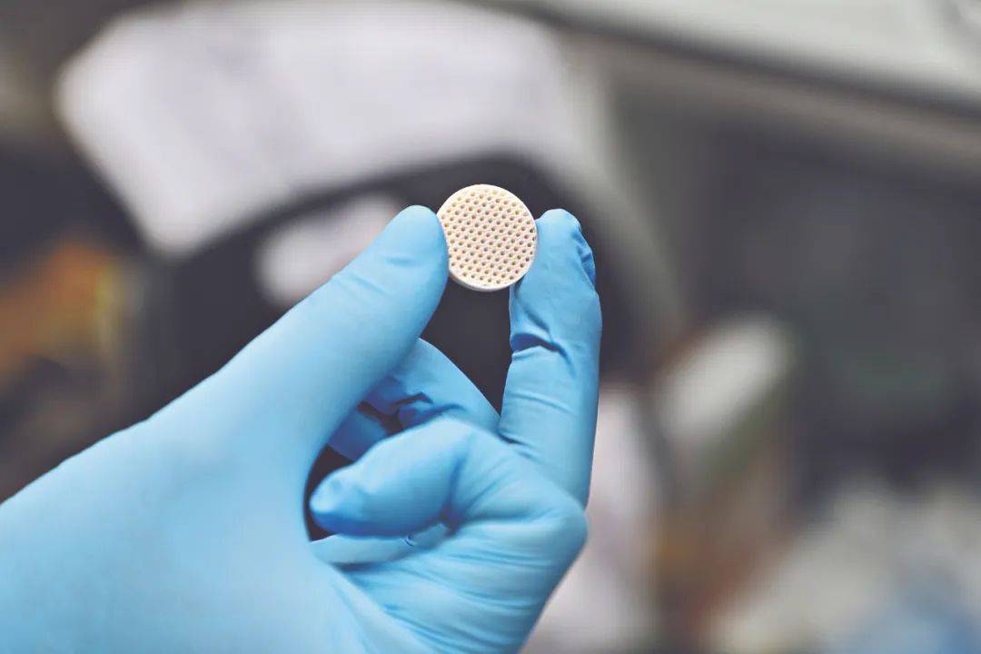 新突破！广州科研团队用莲藕接骨“塑肉身”<strong></p>
<p>原油招聘</strong>，冻豆腐、枸杞、油柑都在研究之列