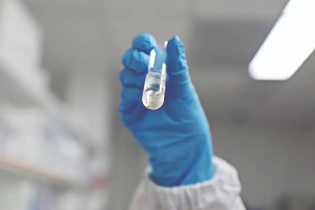 新突破！广州科研团队用莲藕接骨“塑肉身”<strong></p>
<p>原油招聘</strong>，冻豆腐、枸杞、油柑都在研究之列