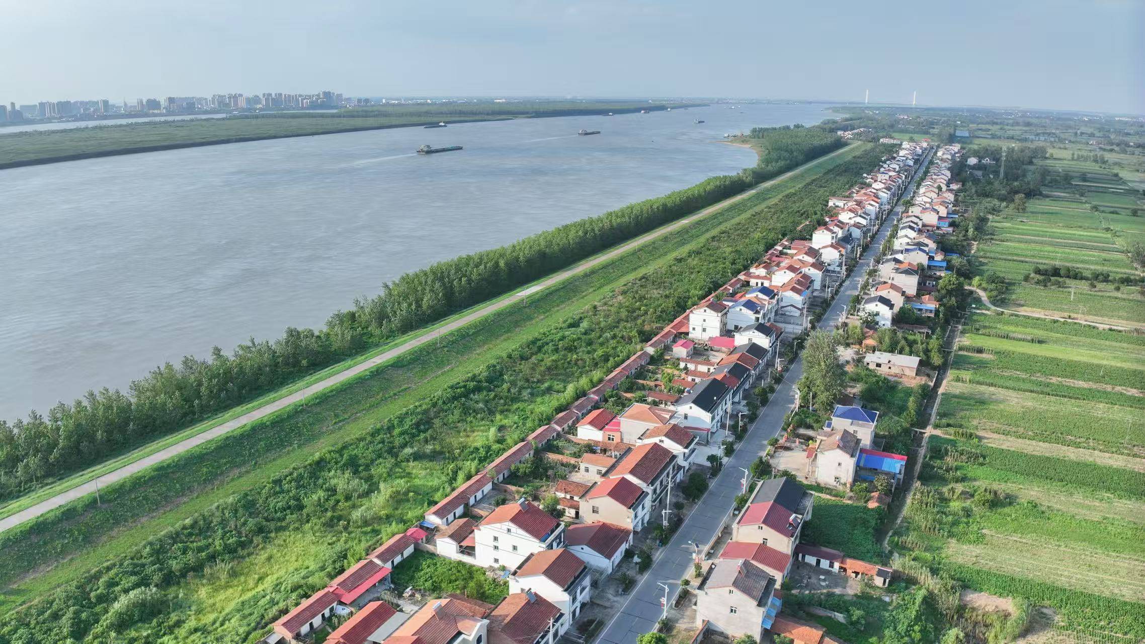 习近平总书记关切事丨<strong></p>
<p>世界原油储量</strong>我们的名字叫“长江”——三个沿江村庄的变迁故事