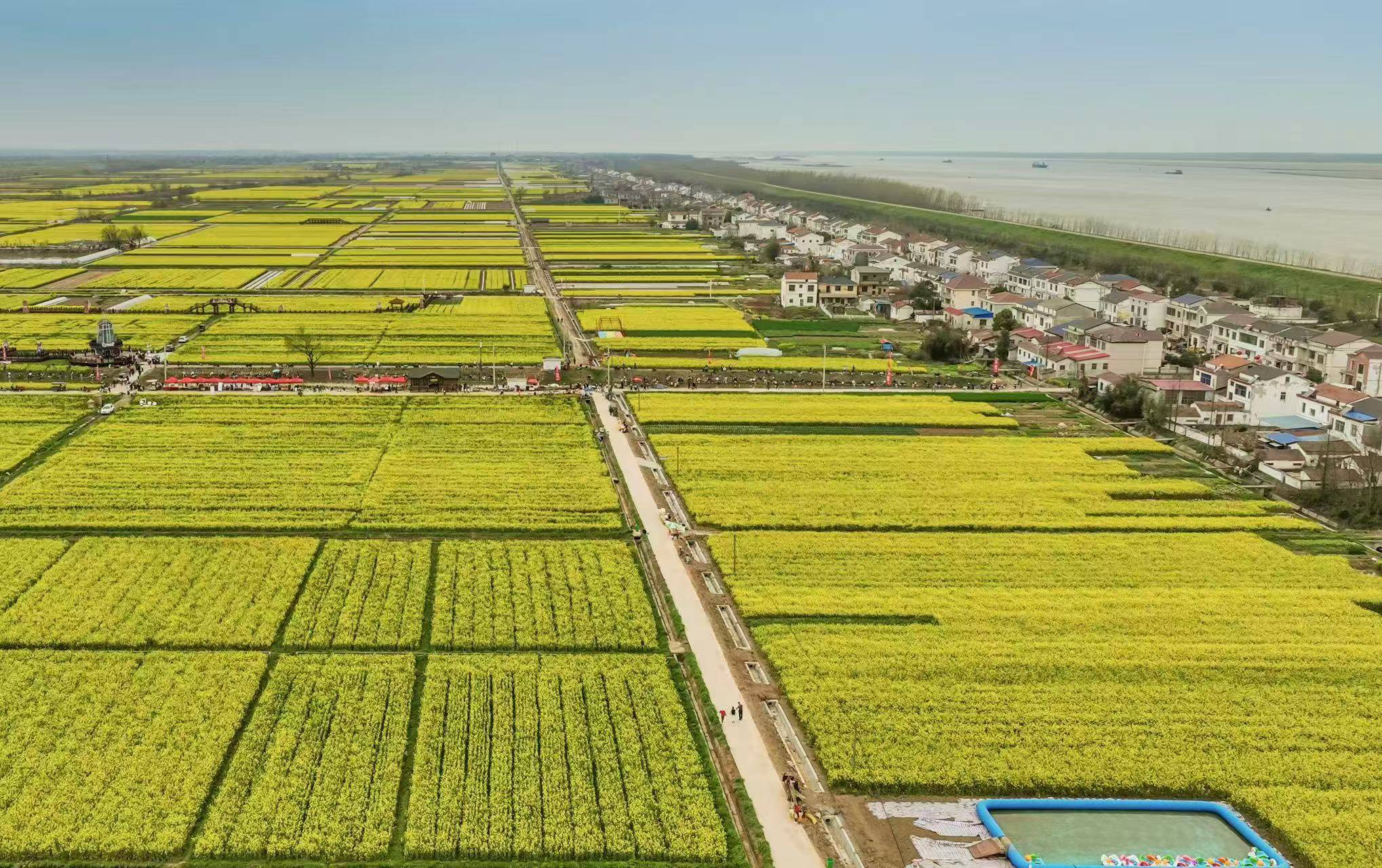 习近平总书记关切事丨<strong></p>
<p>世界原油储量</strong>我们的名字叫“长江”——三个沿江村庄的变迁故事