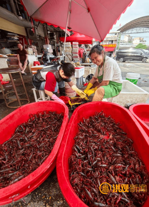 价格腰斩<strong></p>
<p>原油期货最新价格</strong>！13元/斤！南昌正大量上市