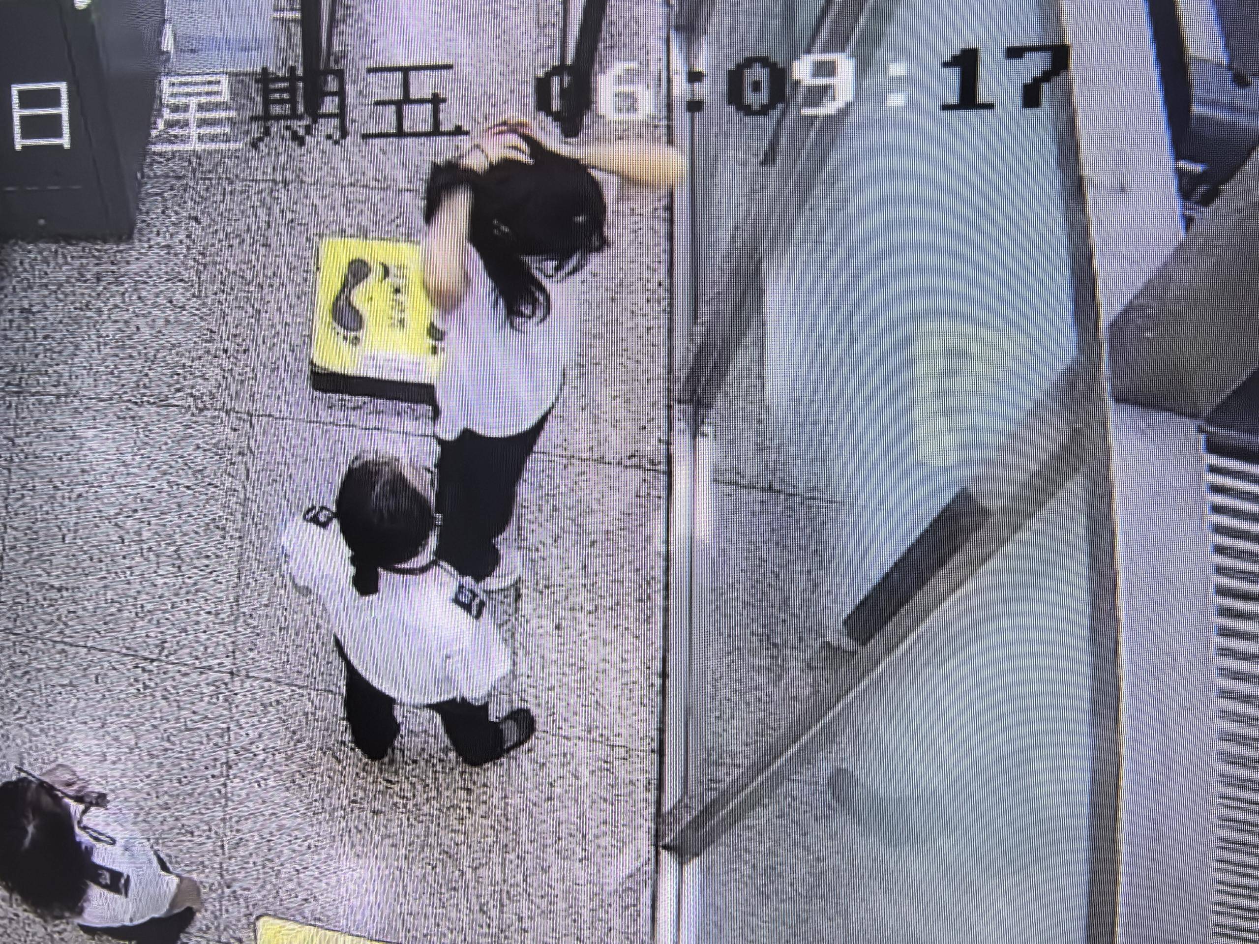 女子将宠物乌龟藏在蝴蝶结盘发内<strong></p>
<p>原油微信</strong>，过安检乘飞机时被查 警方：批评教育