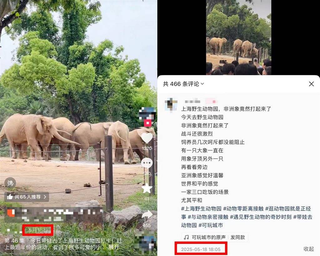 被攻击的母象丹妮未展出<strong></p>
<p>今天国际原油</strong>，为震慑作用设脉冲电网！记者实探上海野生动物园