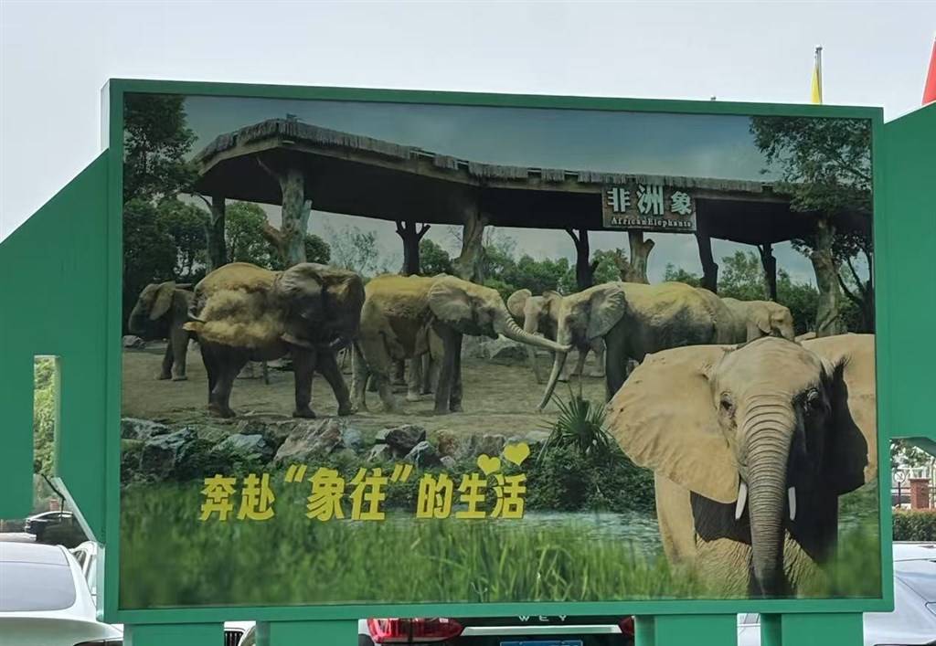 被攻击的母象丹妮未展出<strong></p>
<p>今天国际原油</strong>，为震慑作用设脉冲电网！记者实探上海野生动物园