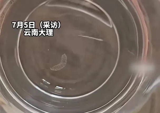 女子喝了隔夜水里的蚊子卵<strong></p>
<p>b原油</strong>！专家：没事