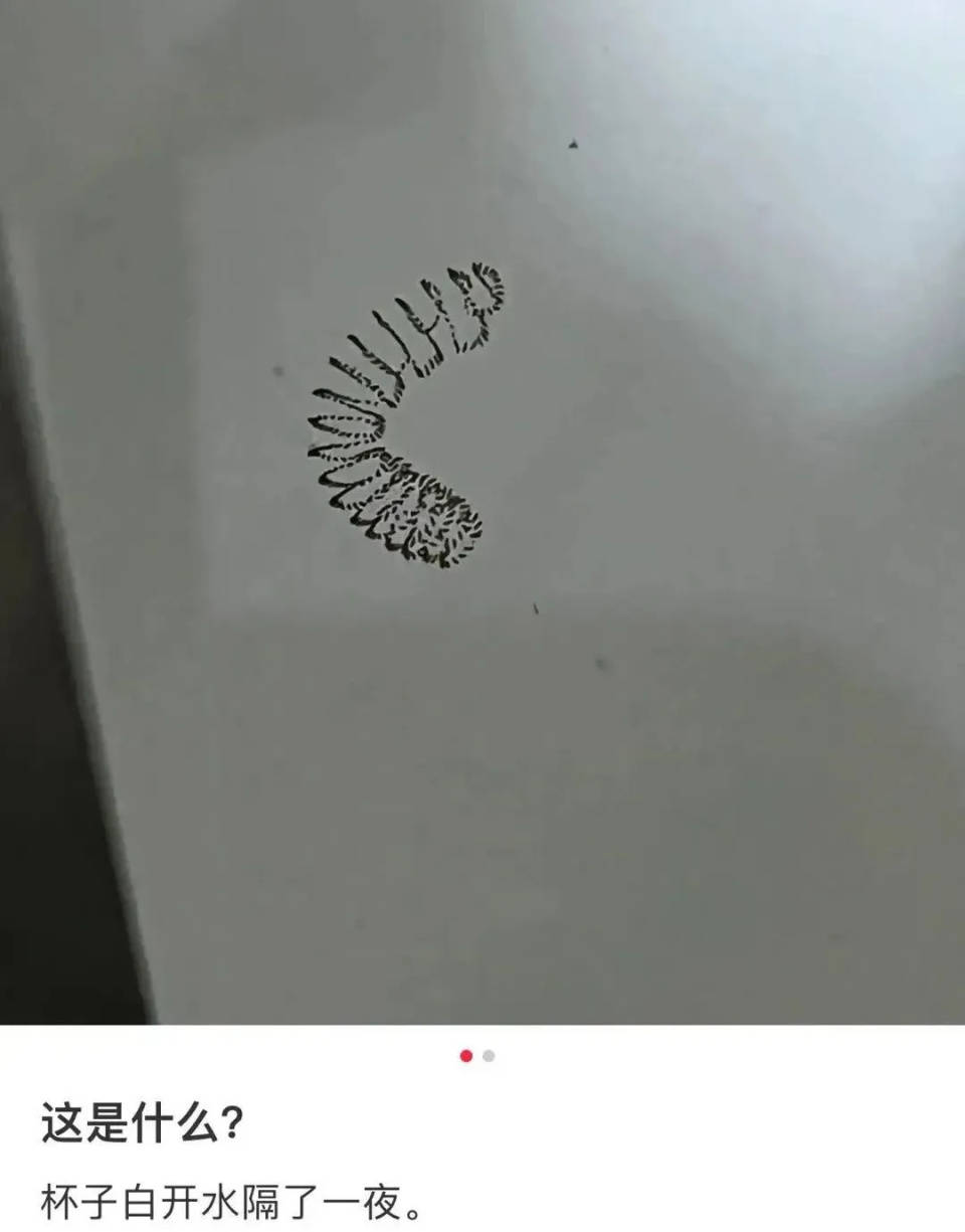 女子喝了隔夜水里的蚊子卵<strong></p>
<p>b原油</strong>！专家：没事