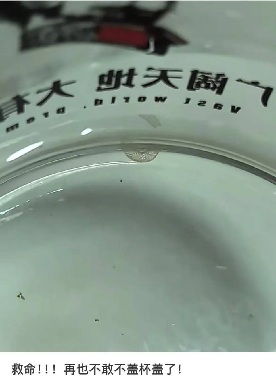 女子喝了隔夜水里的蚊子卵<strong></p>
<p>b原油</strong>！专家：没事