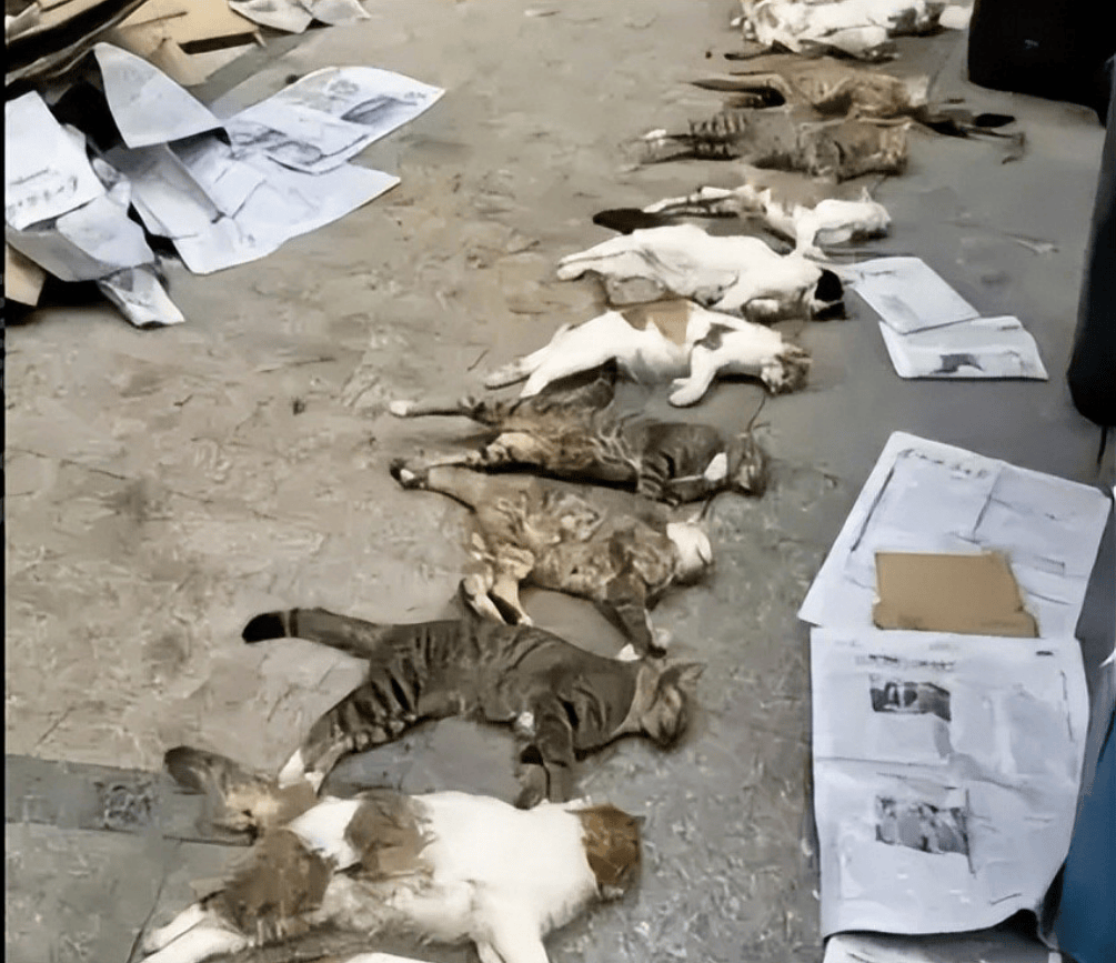 桂林编制考试刷掉第一名：别等社会淘汰你的孩子<strong></p>
<p>美原油交易时间</strong>，才后悔没教他