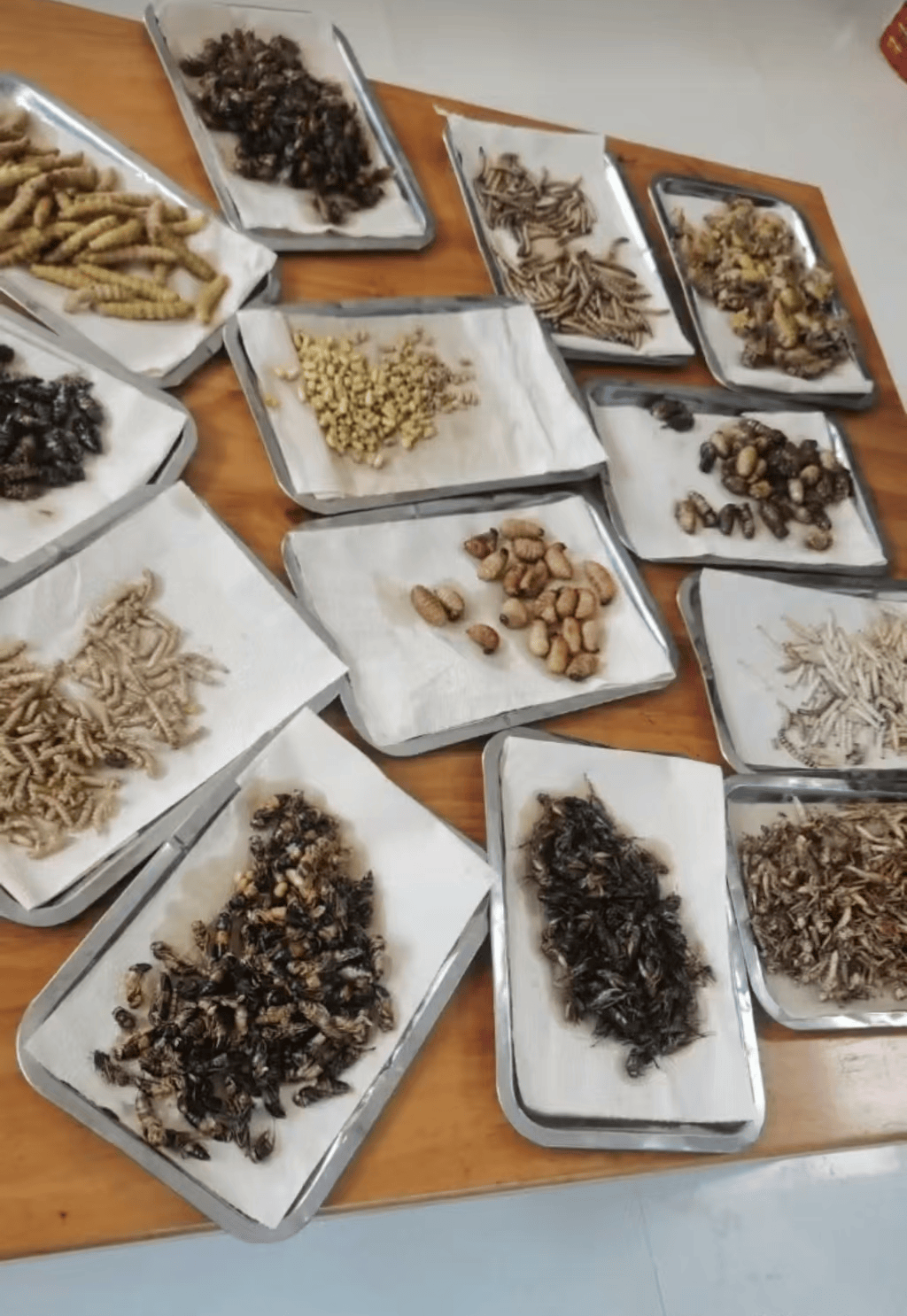 山东临沂通报“蛤蟆汤”饭店被拟罚45万：撤销处罚<strong></p>
<p>贵金属原油</strong>，5人停职