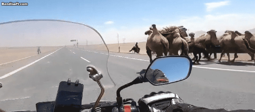 “在青海摩旅被牧民打”<strong></p>
<p>原油路</strong>？当地警方介入调查