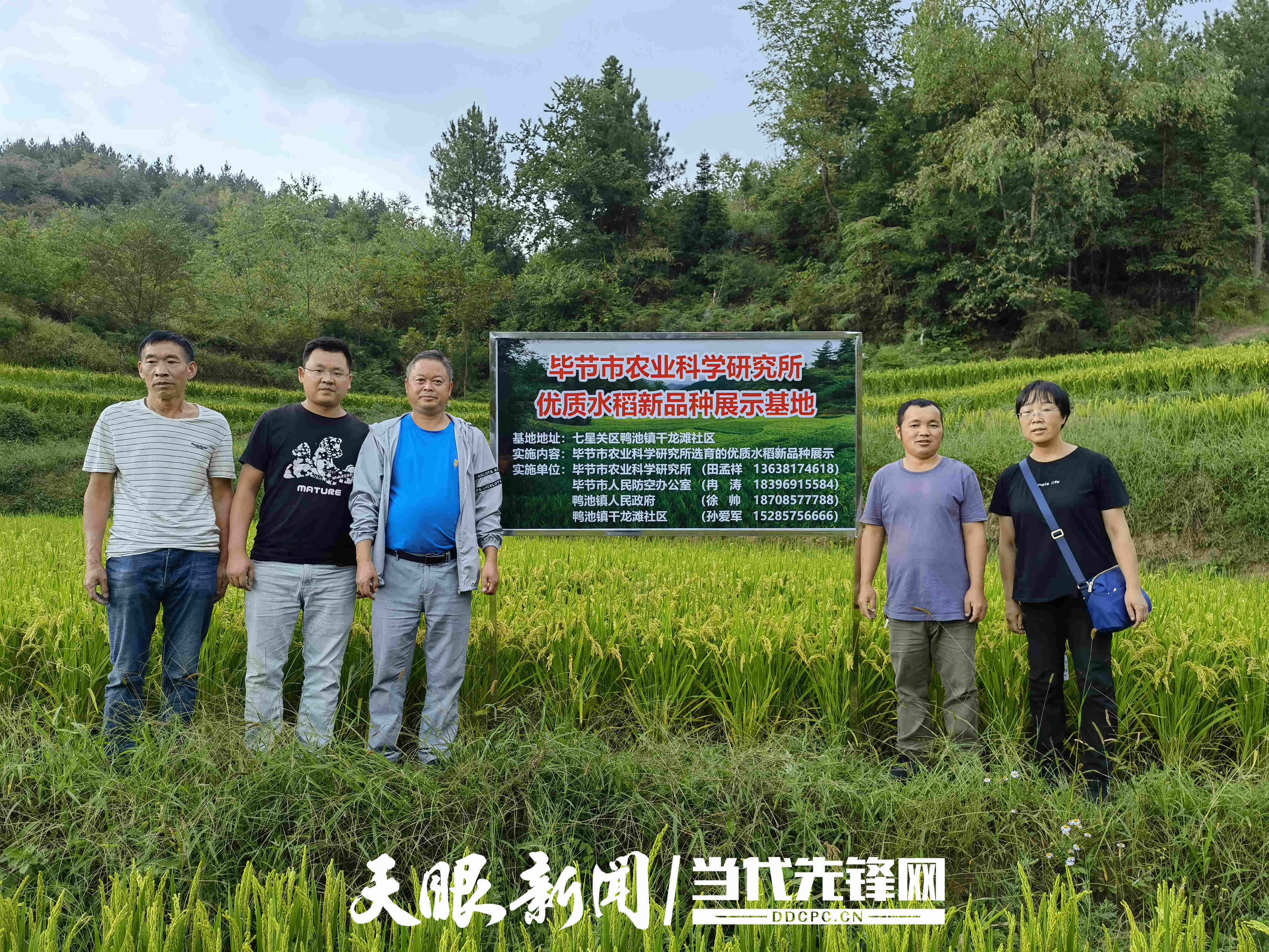 扎根基层<strong></p>
<p>美国期货原油行情</strong>！他用初心交出一份有温度的答卷