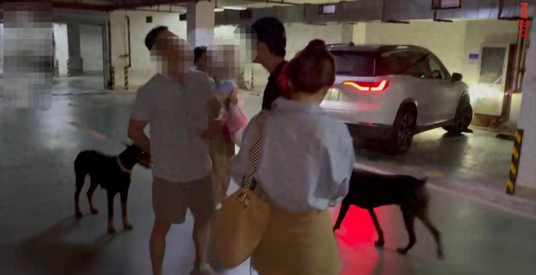 江苏一小区两只杜宾犬没拴绳引激烈争执，物业回应