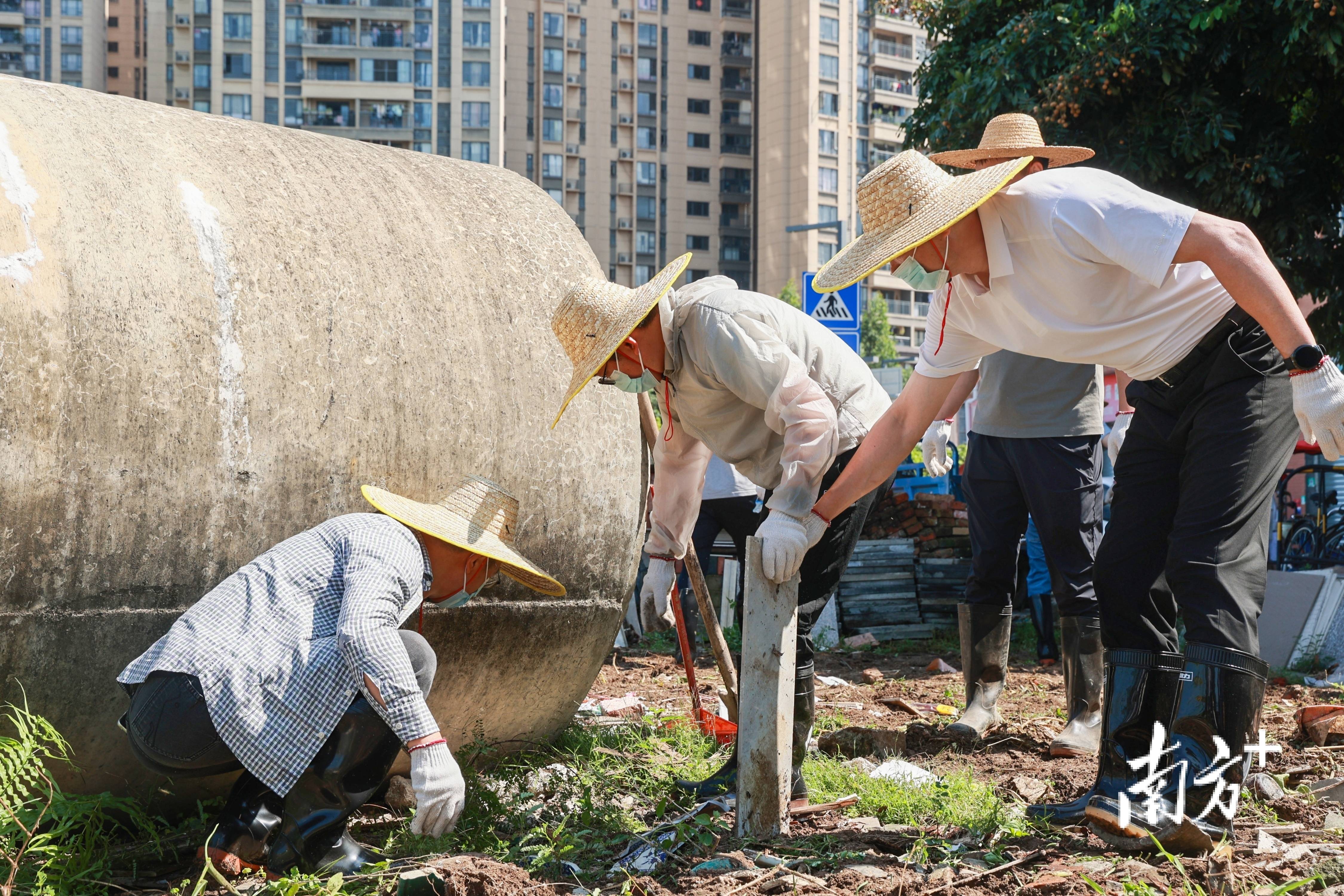 顺德超3300名党员干部下沉一线，党群联动打响蚊媒防控歼灭战