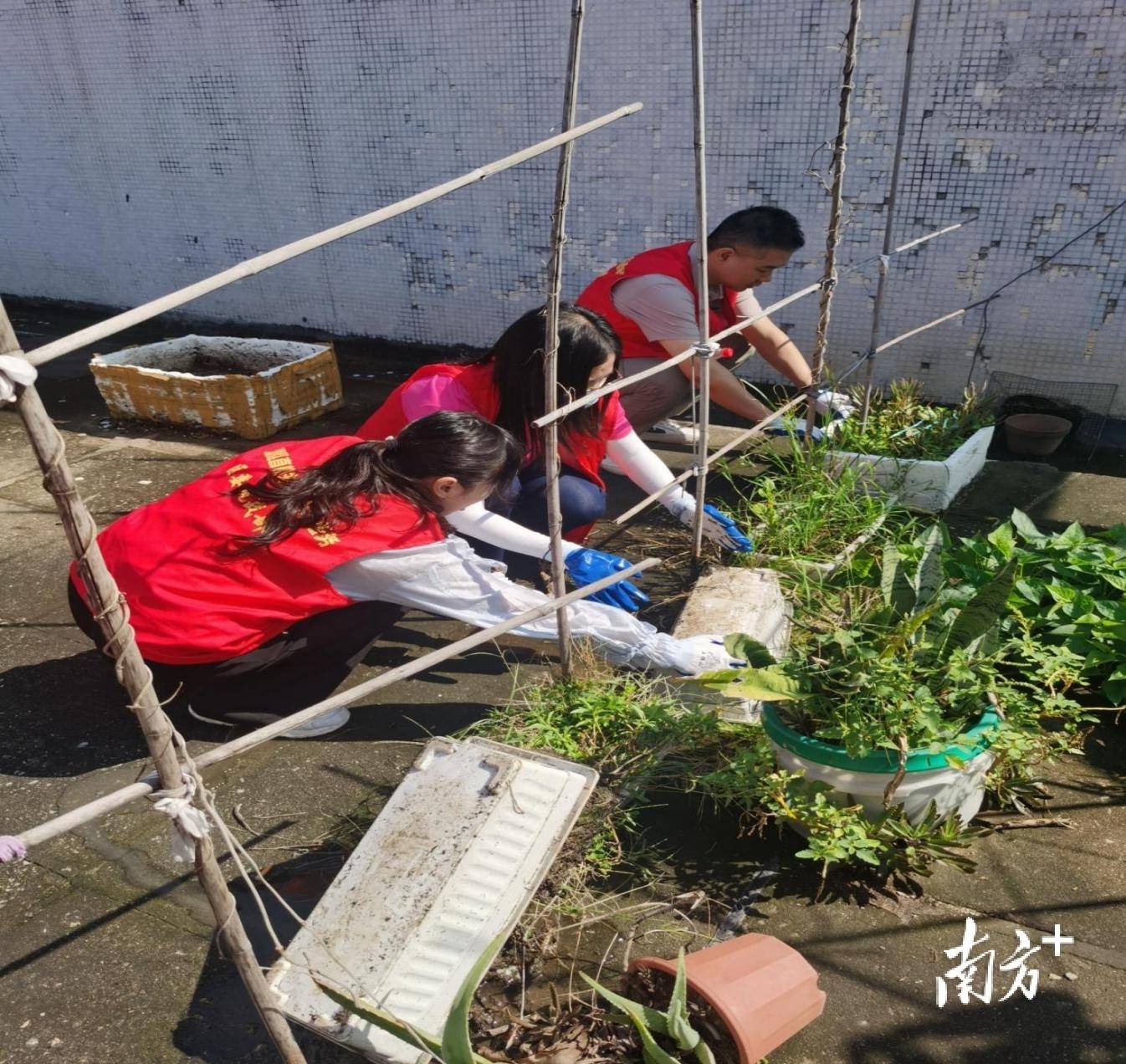 顺德超3300名党员干部下沉一线<strong></p>
<p>原油历史价格</strong>，党群联动打响蚊媒防控歼灭战