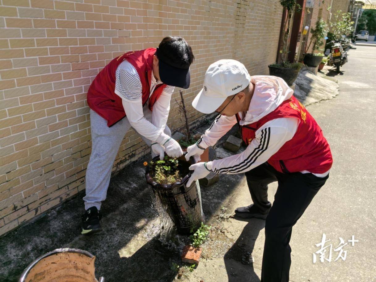 顺德超3300名党员干部下沉一线<strong></p>
<p>原油历史价格</strong>，党群联动打响蚊媒防控歼灭战