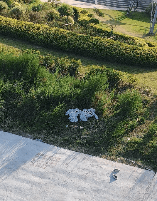 痛心！宋士佳遗体已被发现<strong></p>
<p>原油历史价格</strong>，年仅30岁