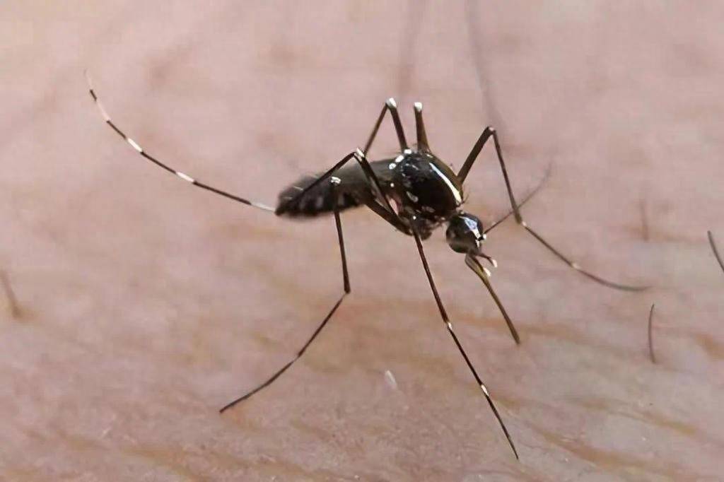 青岛疾控最新提醒：全民行动<strong></p>
<p>原油下跌的原因</strong>！翻盆倒罐、清除积水！