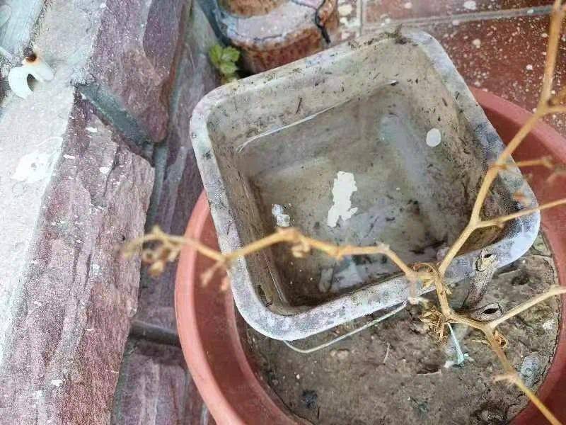 青岛疾控最新提醒：全民行动<strong></p>
<p>原油下跌的原因</strong>！翻盆倒罐、清除积水！