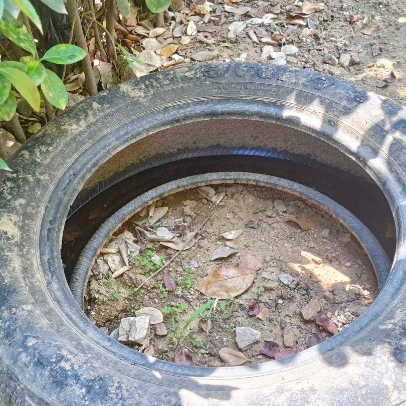 青岛疾控最新提醒：全民行动<strong></p>
<p>原油下跌的原因</strong>！翻盆倒罐、清除积水！