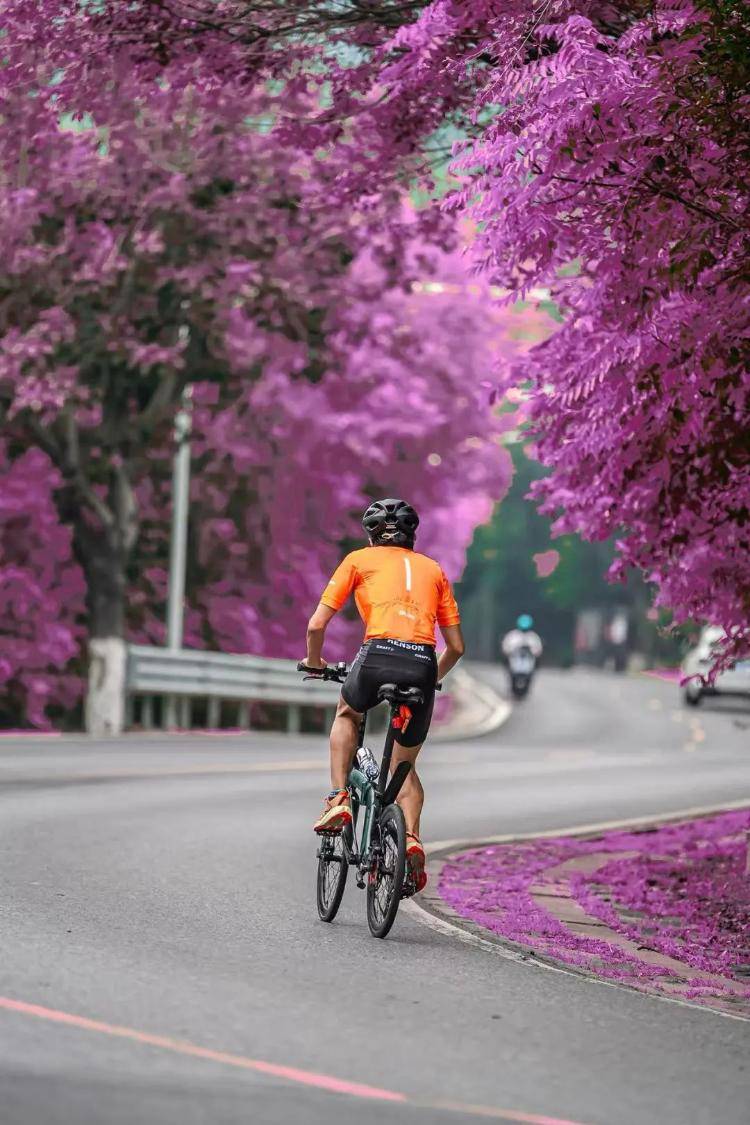 拍一天最多赚千元<strong></p>
<p>原油下跌的原因</strong>！追焦摄影师成为月入过万新职业？