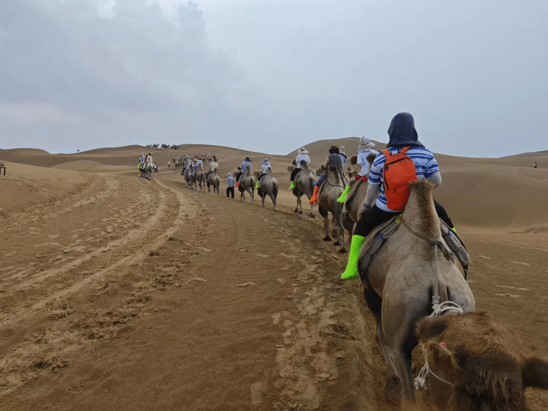 内蒙古遇1959年来最强降水<strong></p>
<p>正规交易原油平台</strong>，有游客滞留沙漠近三小时