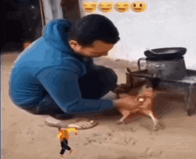 粘着鸡毛鸡屎的土鸡蛋，要先洗干净再放冰箱吗？