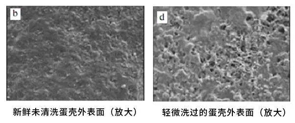 粘着鸡毛鸡屎的土鸡蛋<strong></p>
<p>正规交易原油平台</strong>，要先洗干净再放冰箱吗？