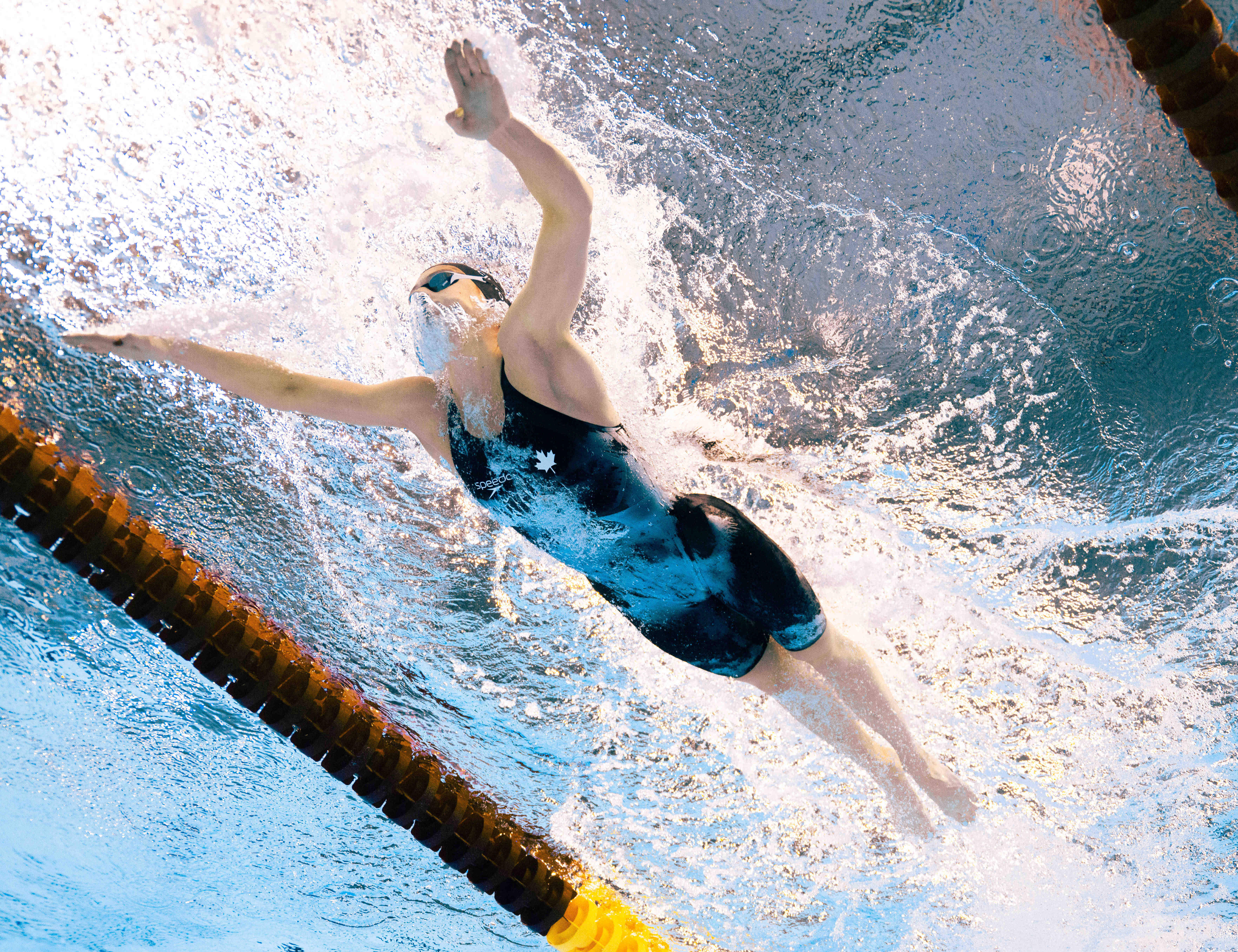 游泳世锦赛：美国队打破世界纪录 中国队收获两银两铜