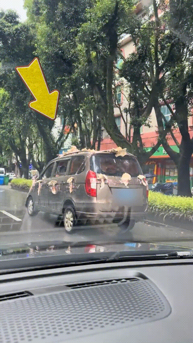 男子驾驶“鸡枞战车”满街跑<strong></p>
<p>原油运价指数</strong>，交警紧急叫停！