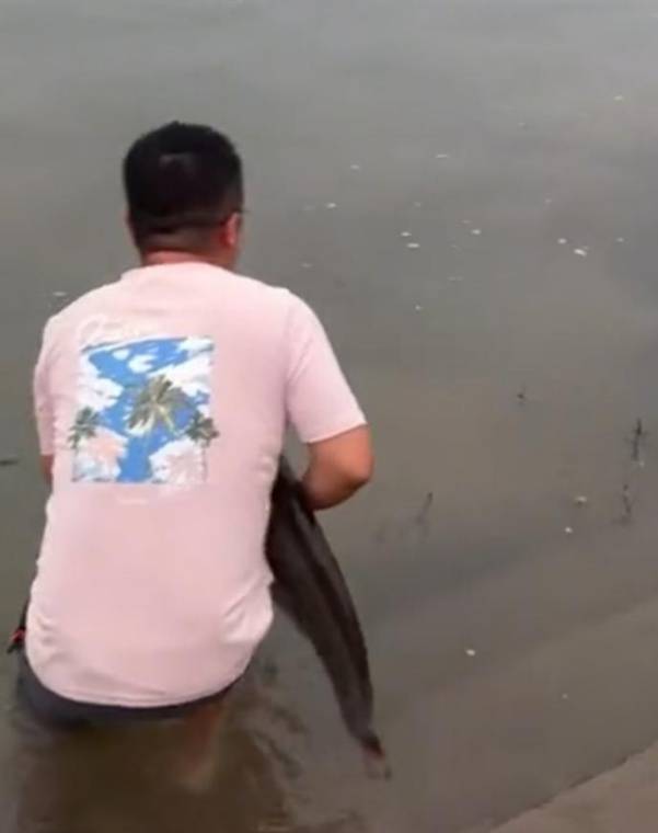 四川一男子钓1米长大鱼后放生<strong></p>
<p>原油实时行情走势</strong>，围观者高呼“卖给我”，回应：钓鱼是为娱乐