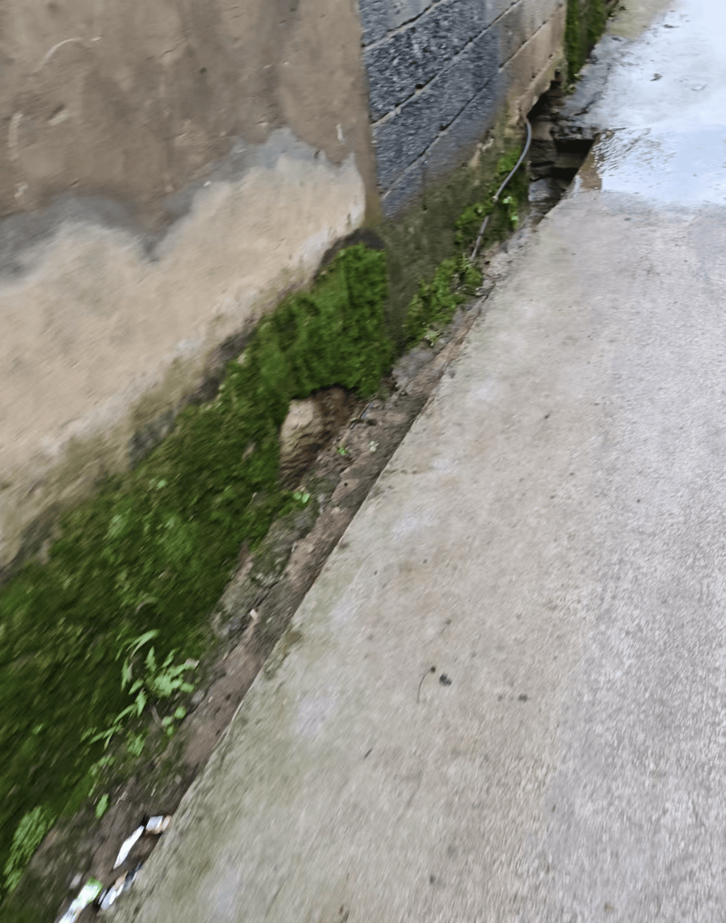 云南曲靖一女孩被同班男生送回家途中杀害<strong></p>
<p>原油下周</strong>，当地警方介入，家属发声