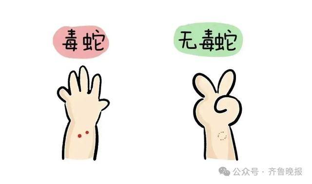 安徽宣城一男子走路玩手机<strong></p>
<p>原油模拟</strong>，一脚踩中打架的竹叶青和五步蛇，被俩毒蛇咬3口！医院：暂无生命危险，正在治疗