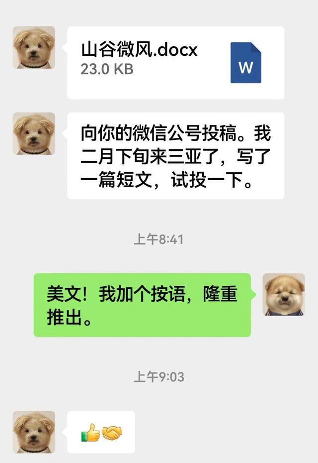 余华认证“潦草小狗”标签：气质确实有点像