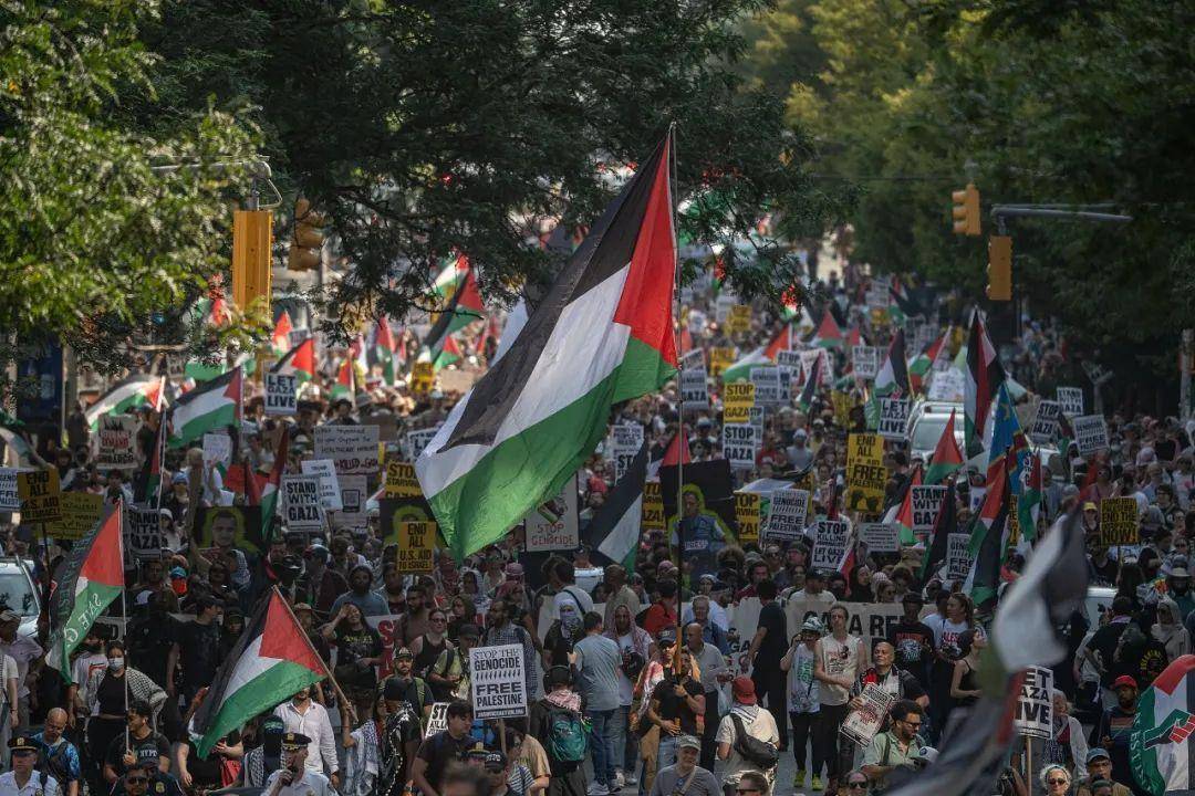 撕开“人权卫士”的虚伪面具