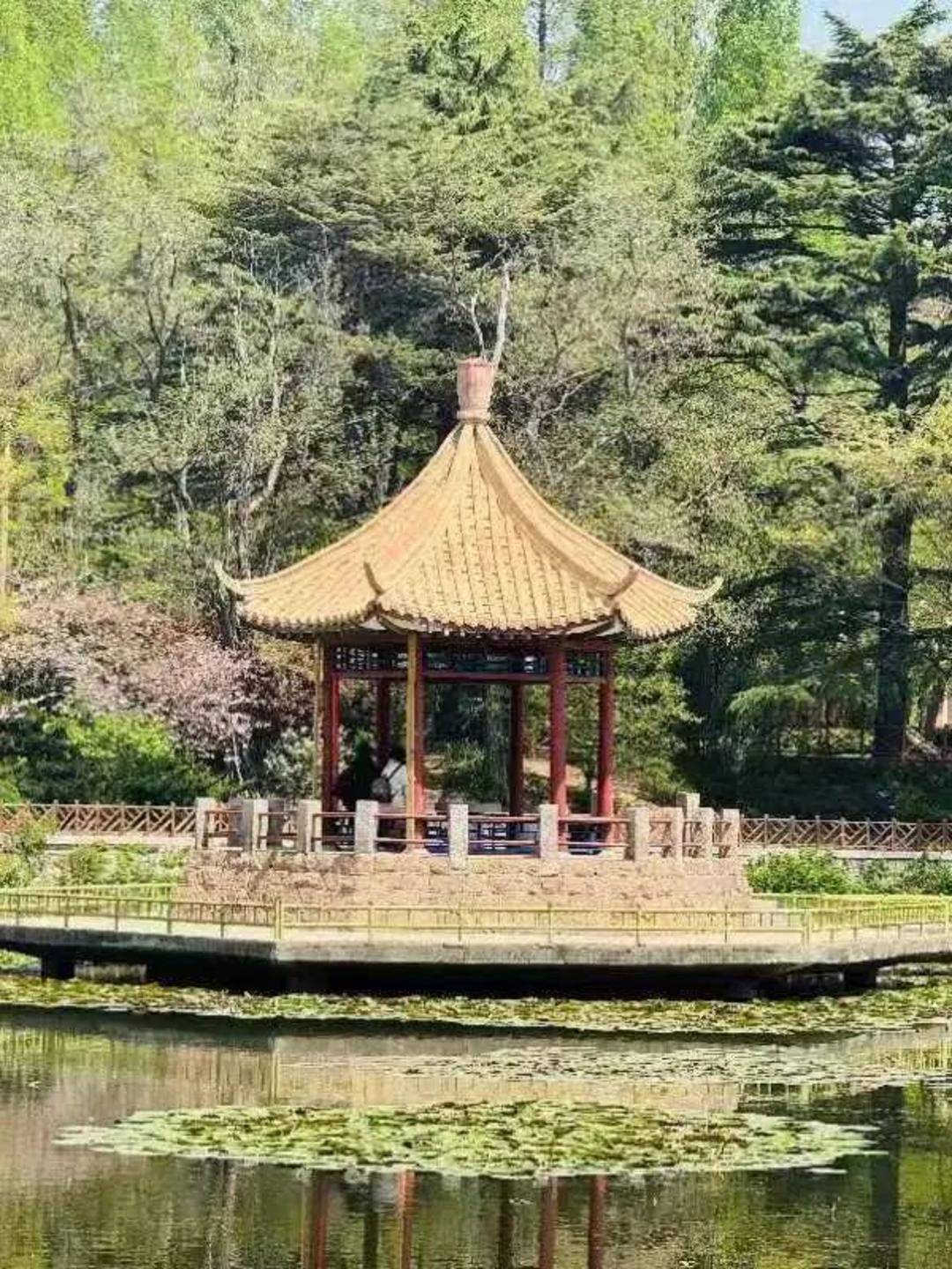 青岛中山公园一凉亭突然倒塌：一年前刚完成修缮<strong></p>
<p>库存原油</strong>，园方称无伤亡原因待查