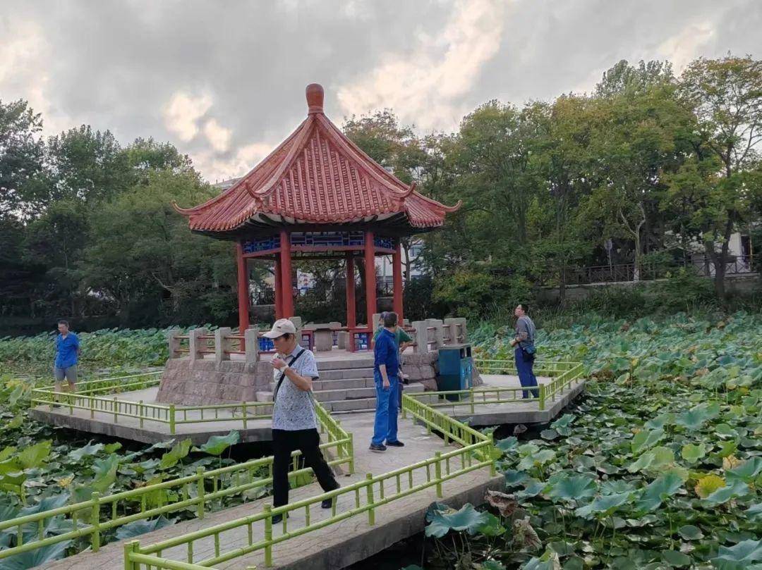 青岛中山公园一凉亭突然倒塌：一年前刚完成修缮<strong></p>
<p>库存原油</strong>，园方称无伤亡原因待查