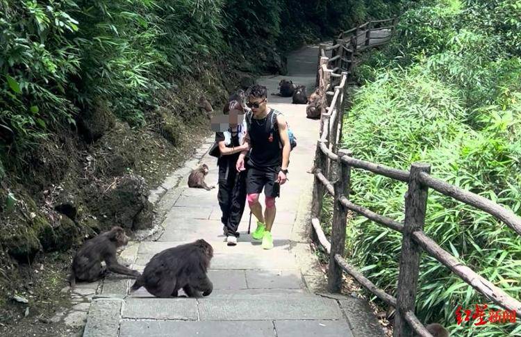 揭秘峨眉山陪爬团队：已陪爬千名游客九成为女性<strong></p>
<p>原油提炼设备</strong>，不会主动拉背扛抱，主要保障安全