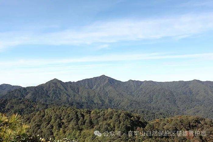 云南哀牢山新规出台：禁止任何单位和个人擅入哀牢山自然保护区<strong></p>
<p>原油期货开户流程</strong>，从事科研活动须报批