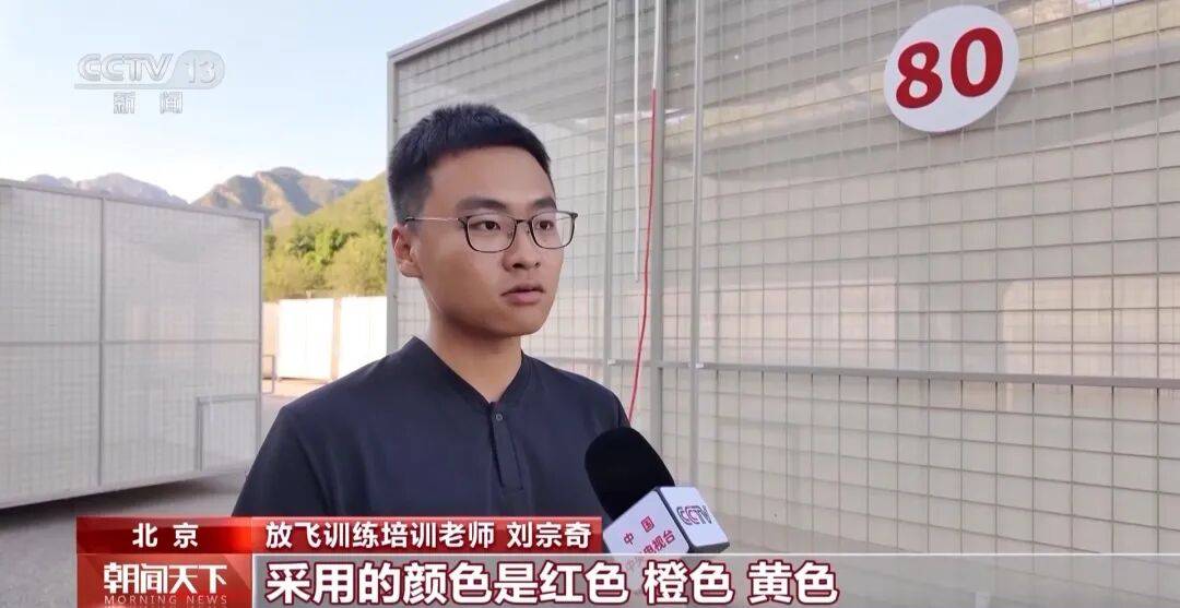 明天将放飞8万羽和平鸽、8万只气球<strong></p>
<p>原油期货开户流程</strong>，揭秘！