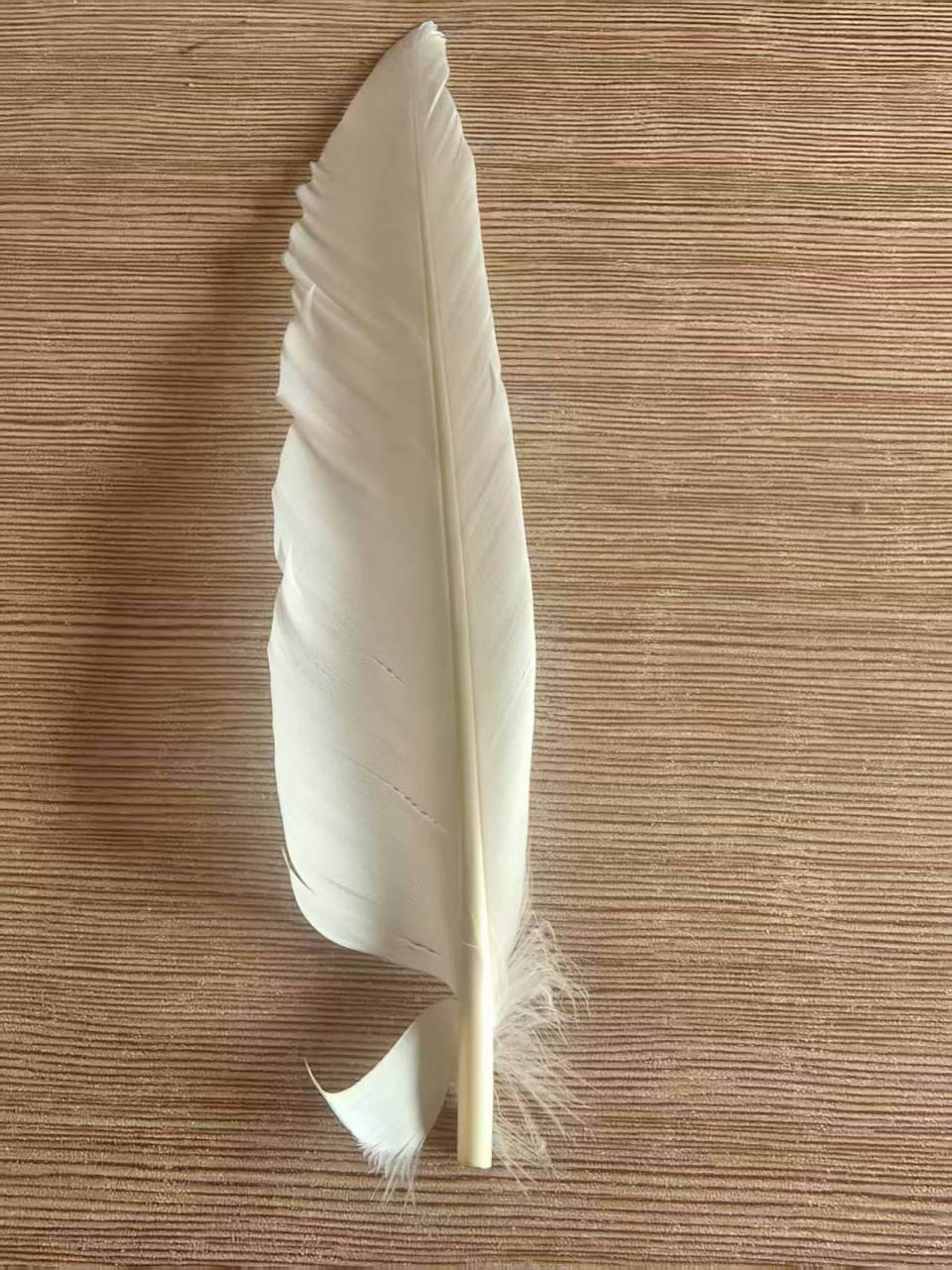 羽毛球又又又涨价<strong></p>
<p>原油期货开户流程</strong>，球友破防：月花三千扛不住，打球人的天塌了