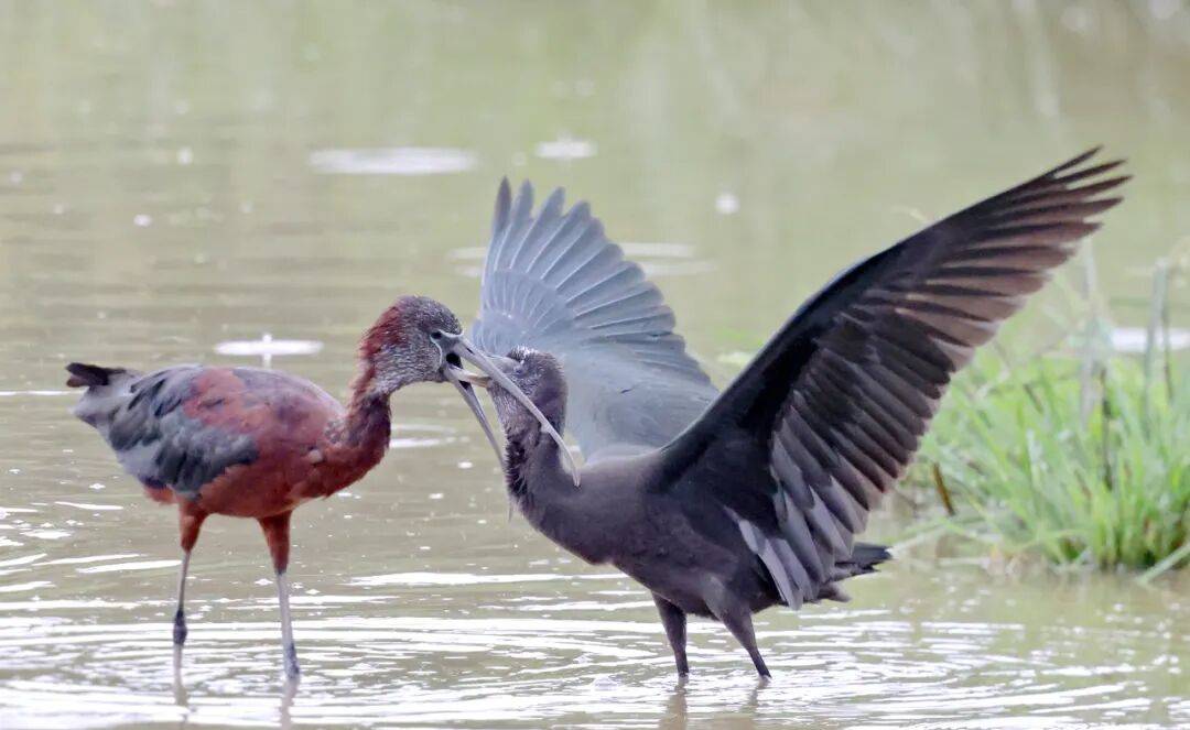 突破45只<strong></p>
<p>原油后期走势</strong>！