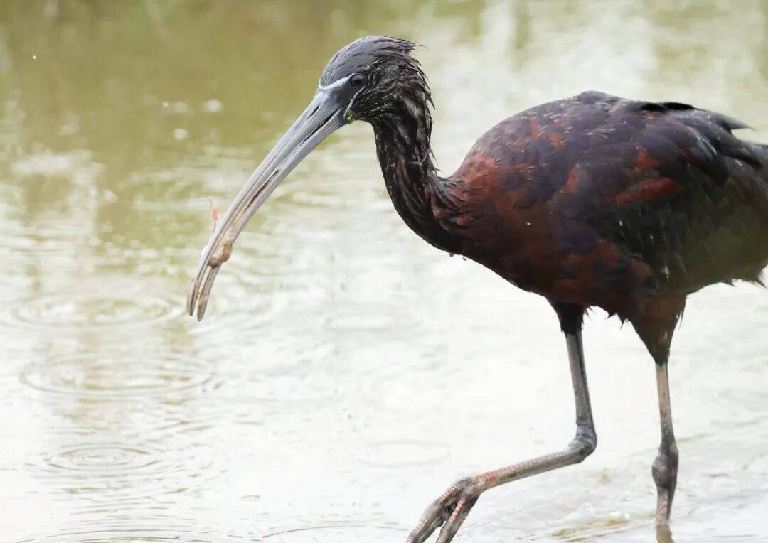 突破45只<strong></p>
<p>原油后期走势</strong>！