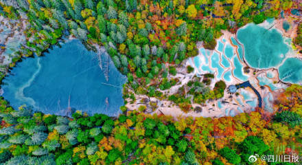 川A大军注意<strong></p>
<p>原油一桶多重</strong>！国庆成都有望4小时飙拢九寨沟